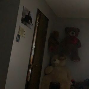 Meet your Posher, Rotane